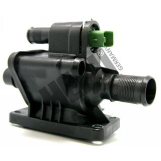 Termostatas, aušinimo skystis HEPU TM1060