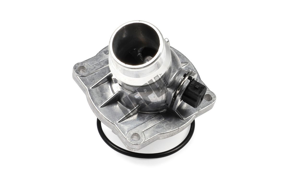Termostatas, aušinimo skystis HEPU TM1069