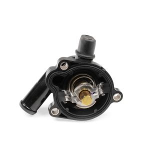 Termostatas, aušinimo skystis HEPU TM1101