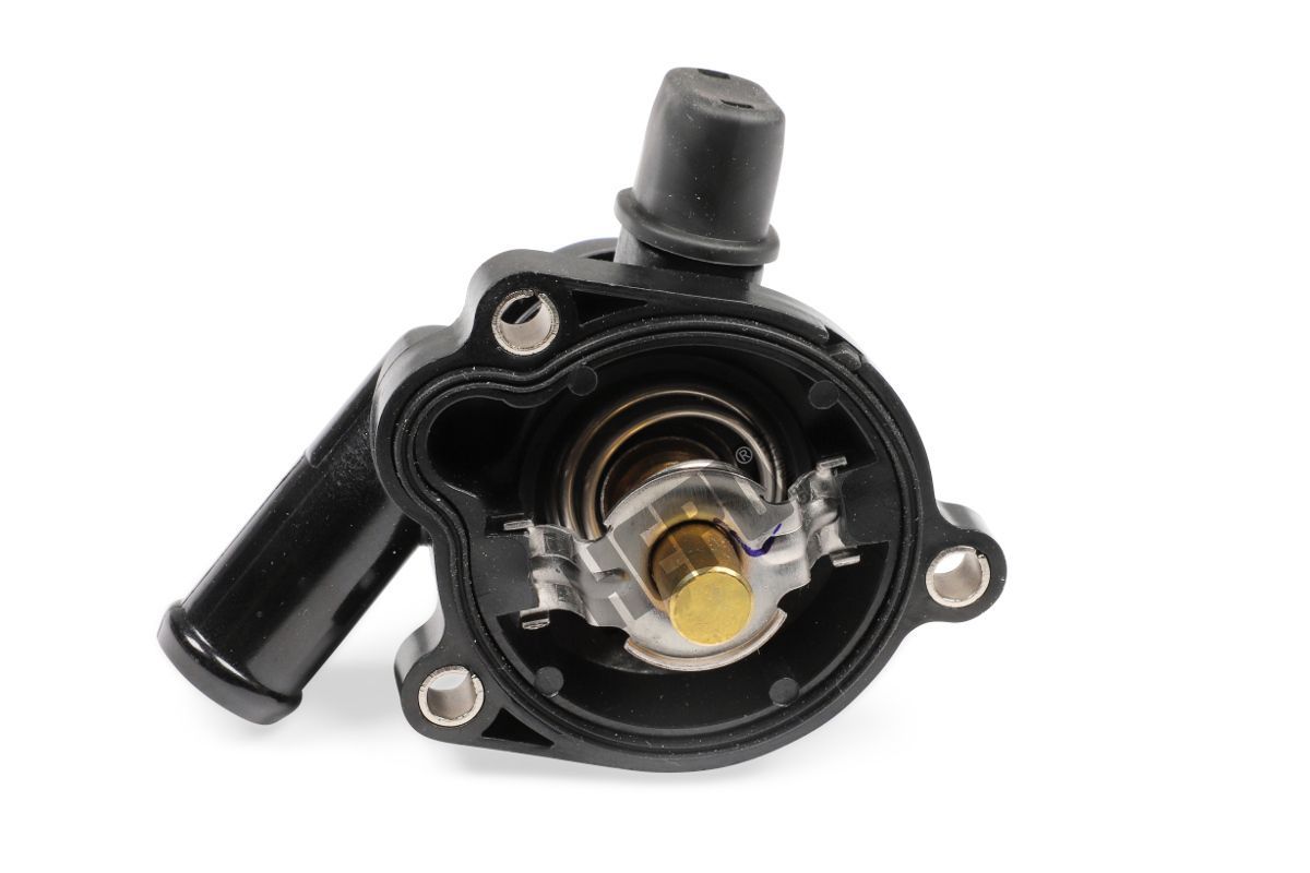 Termostatas, aušinimo skystis HEPU TM1101