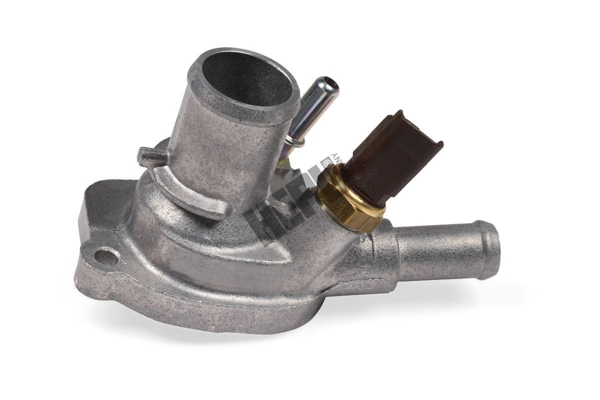 Termostatas, aušinimo skystis HEPU TM1110