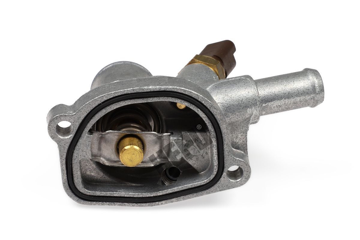 Termostatas, aušinimo skystis HEPU TM1110