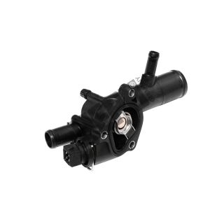 Termostatas, aušinimo skystis HEPU TM1217