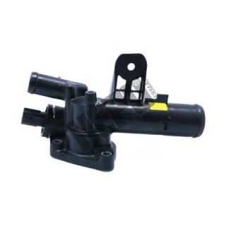 Termostatas, aušinimo skystis HEPU TM1220