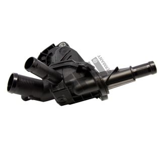 Termostatas, aušinimo skystis HEPU TM1235