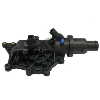 Termostatas, aušinimo skystis HEPU TM1238