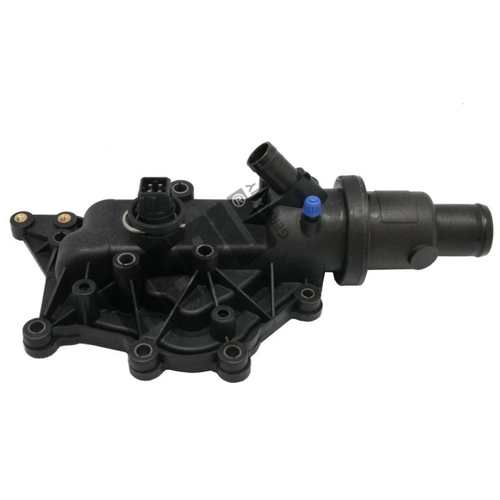 Termostatas, aušinimo skystis HEPU TM1238