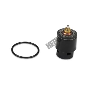 Termostatas, aušinimo skystis HEPU TM1241