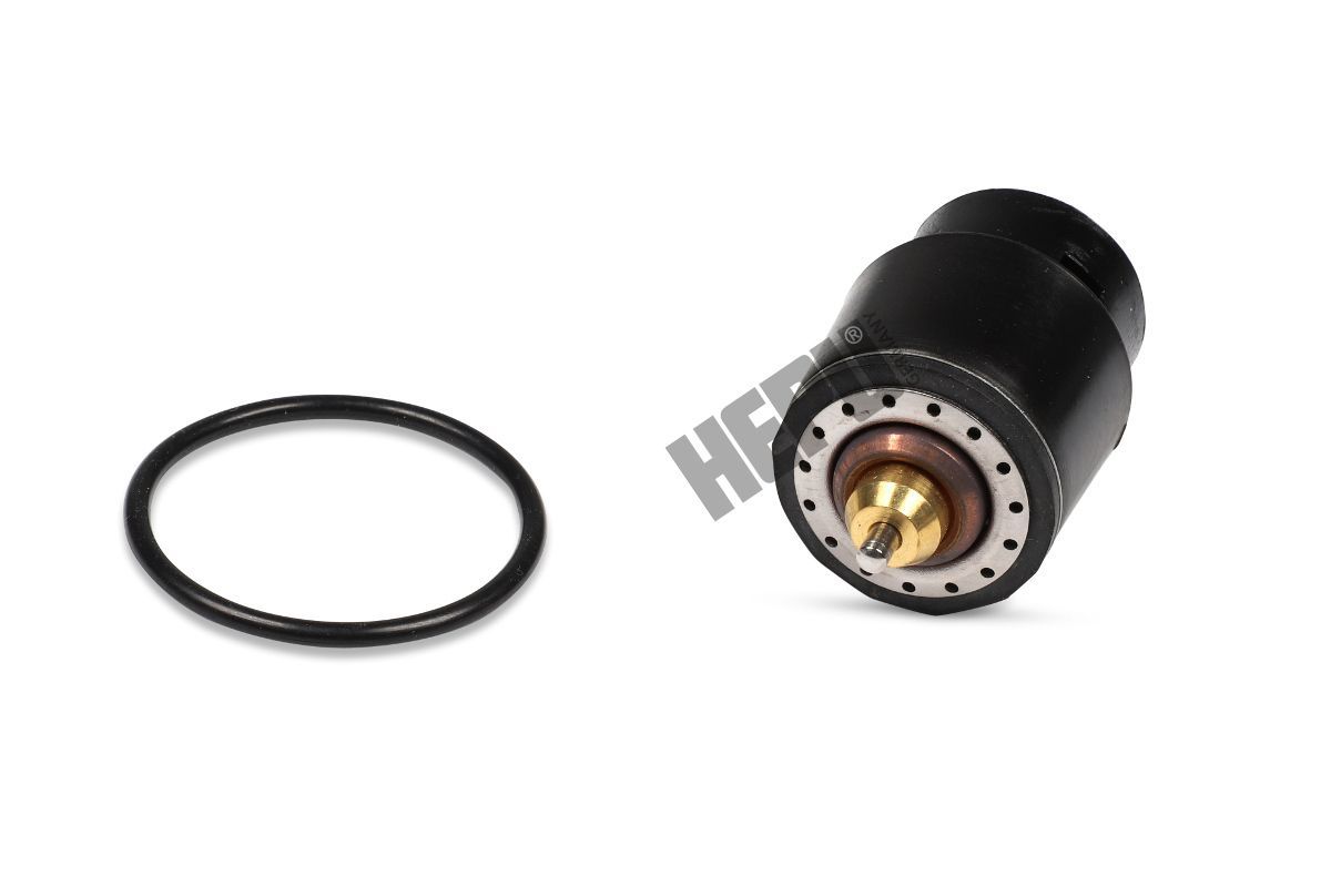 Termostatas, aušinimo skystis HEPU TM1241