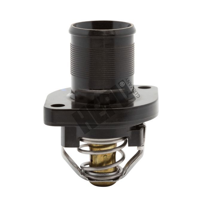 Termostatas, aušinimo skystis HEPU TM1248