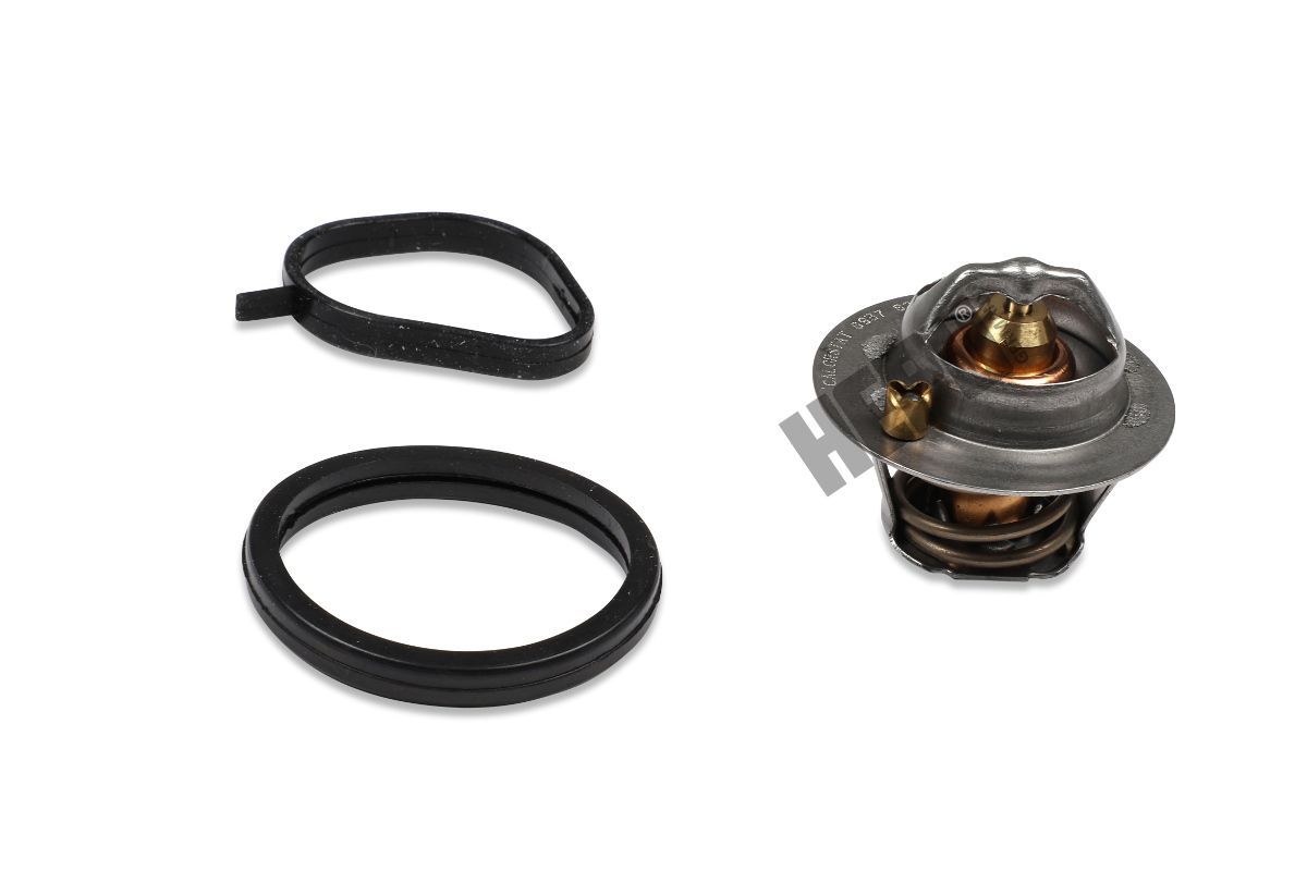 Termostatas, aušinimo skystis HEPU TM1267