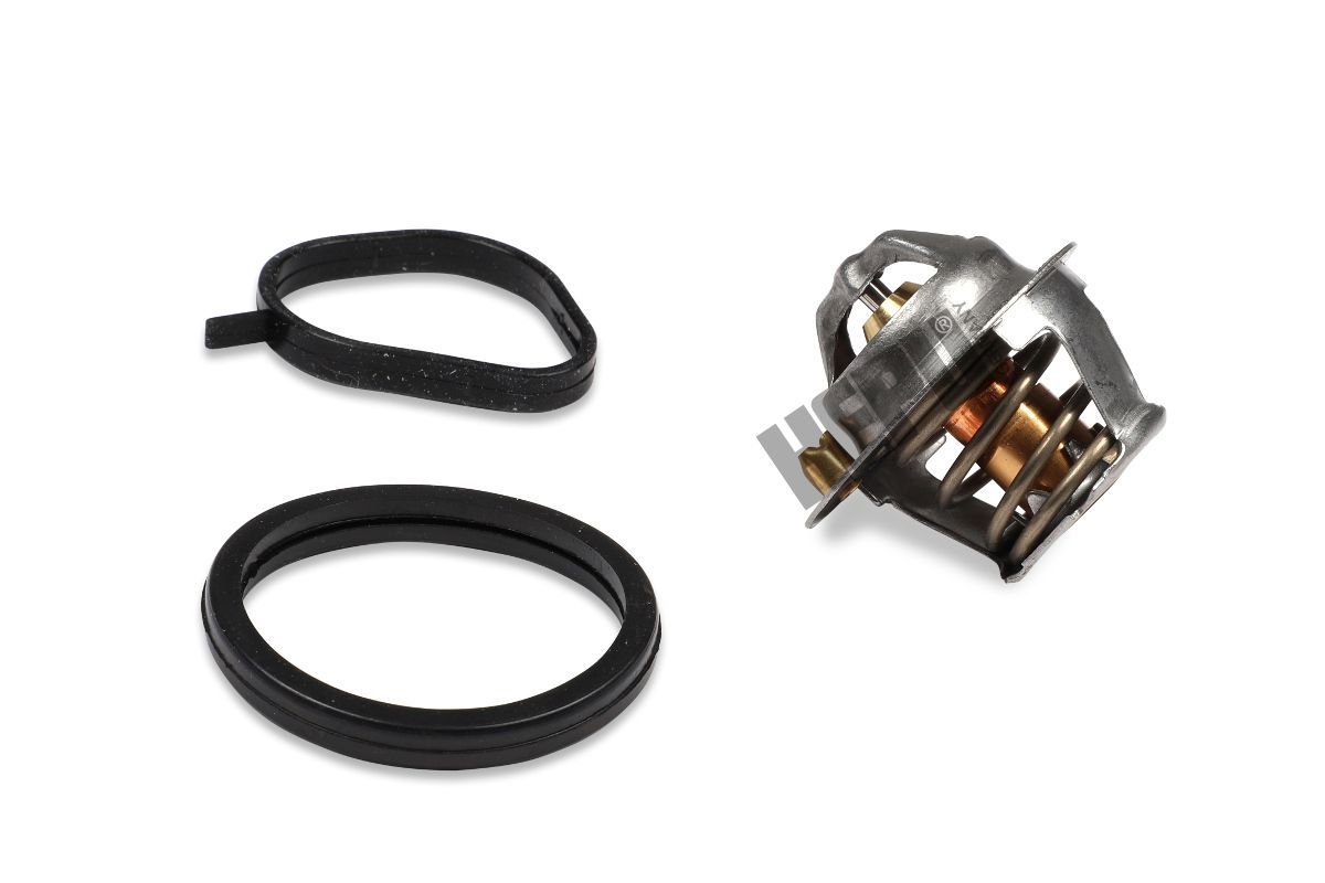 Termostatas, aušinimo skystis HEPU TM1267