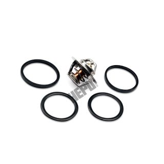 Termostatas, aušinimo skystis HEPU TM1291