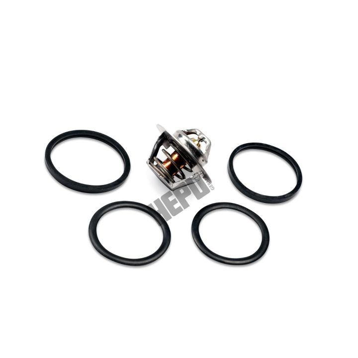 Termostatas, aušinimo skystis HEPU TM1291