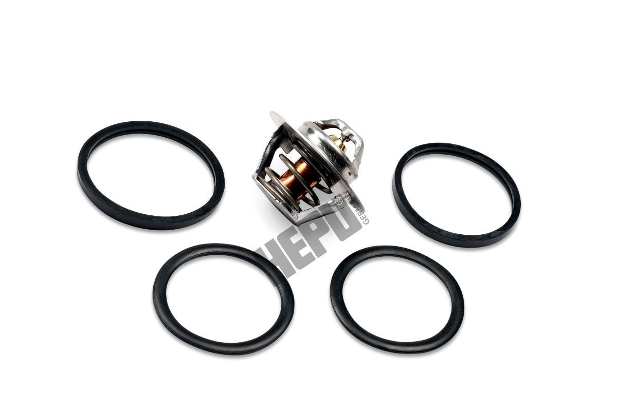 Termostatas, aušinimo skystis HEPU TM1291