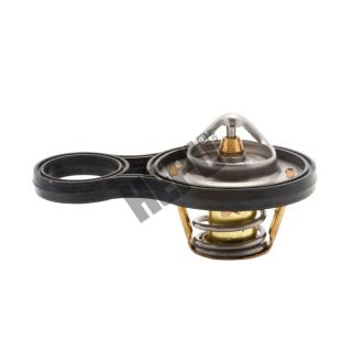 Termostatas, aušinimo skystis HEPU TM1293