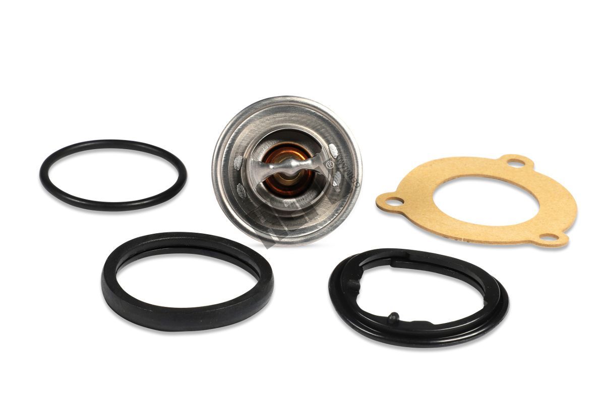 Termostatas, aušinimo skystis HEPU TM1306