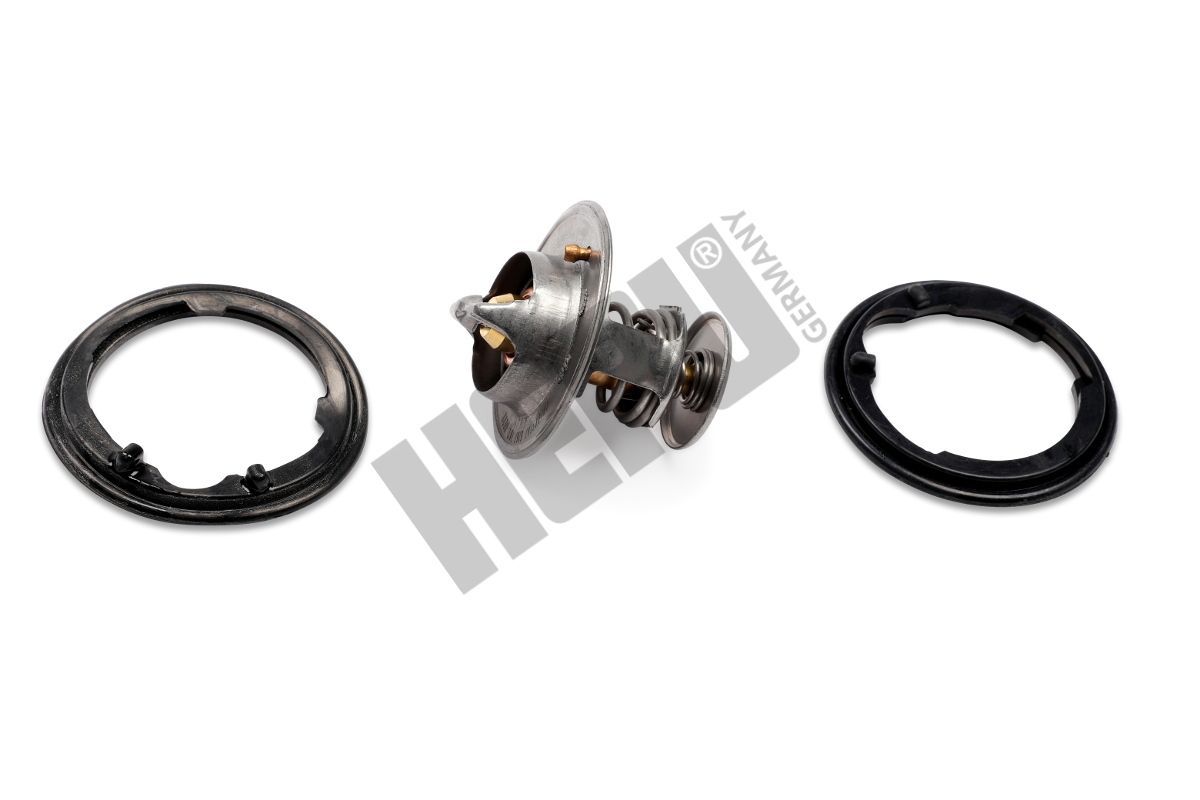 Termostatas, aušinimo skystis HEPU TM1317