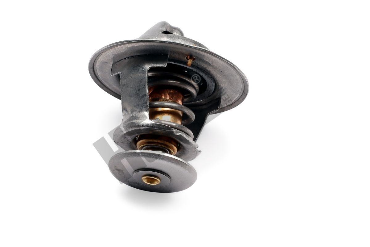 Termostatas, aušinimo skystis HEPU TM1317