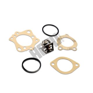 Termostatas, aušinimo skystis HEPU TM1323