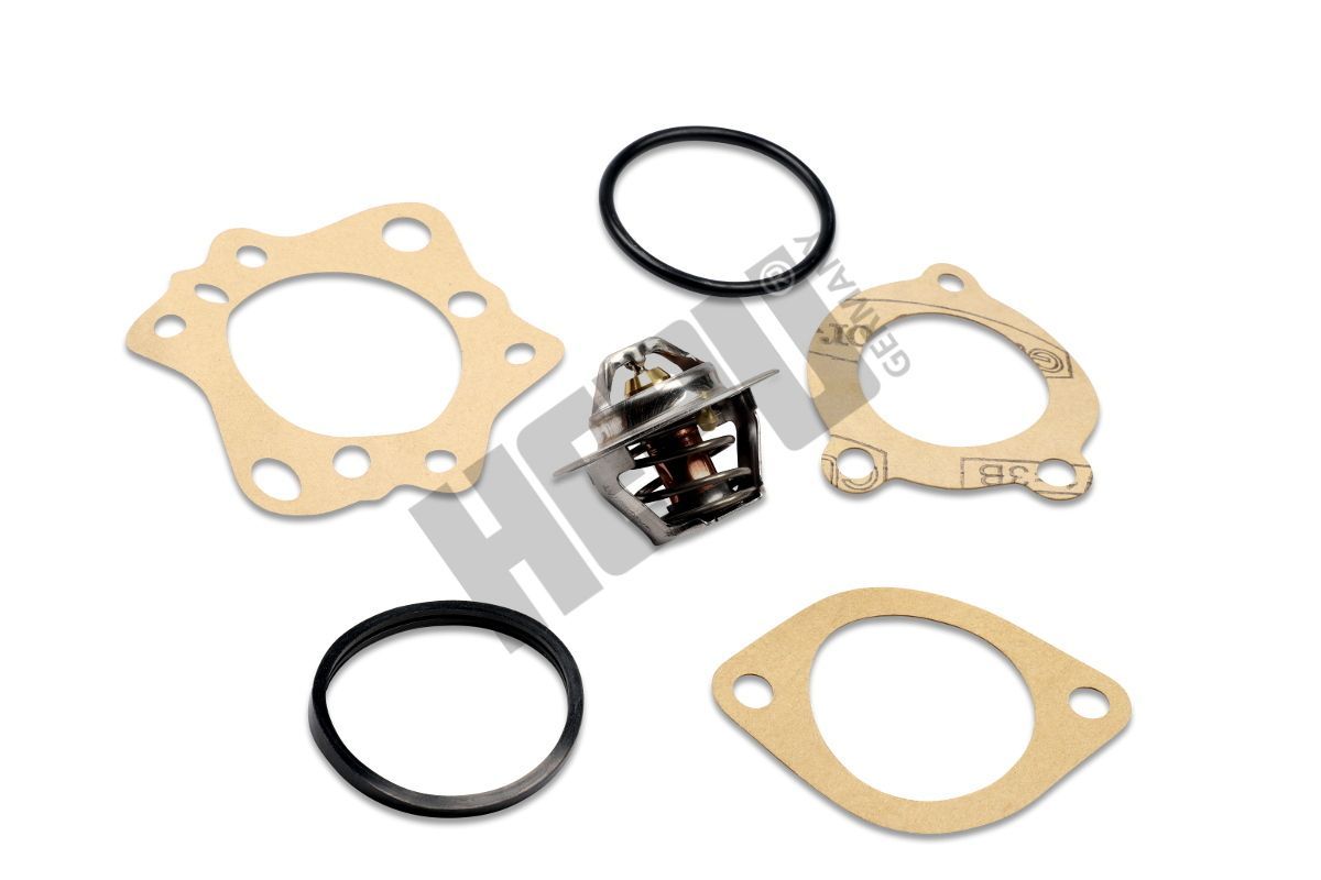 Termostatas, aušinimo skystis HEPU TM1323