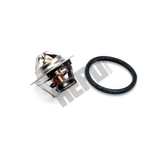 Termostatas, aušinimo skystis HEPU TM1327