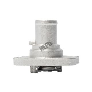 Termostatas, aušinimo skystis HEPU TM1348