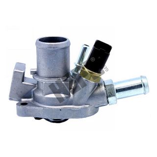 Termostatas, aušinimo skystis HEPU TM1349