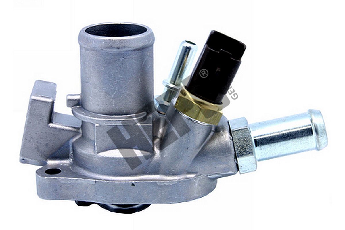 Termostatas, aušinimo skystis HEPU TM1349