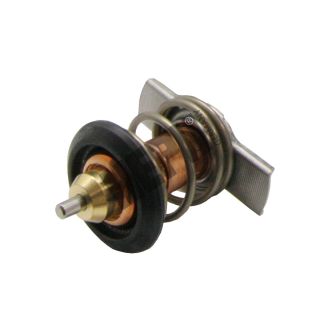 Termostatas, aušinimo skystis HEPU TM1350