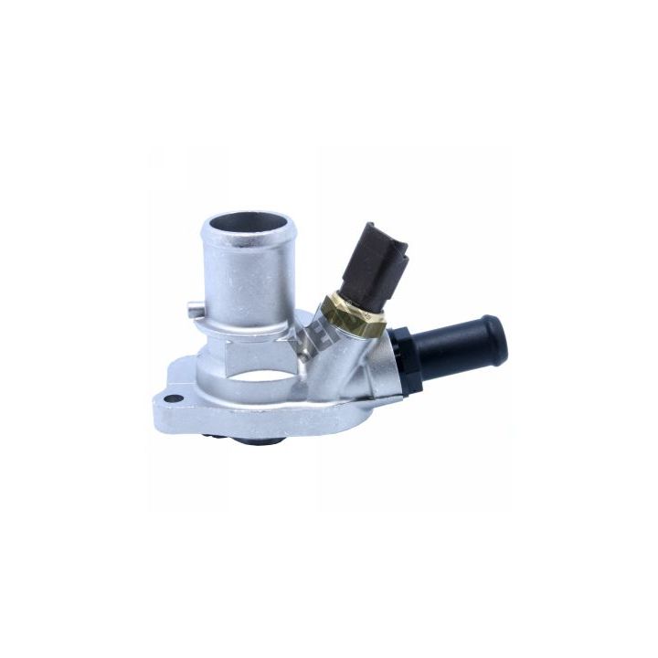 Termostatas, aušinimo skystis HEPU TM1372