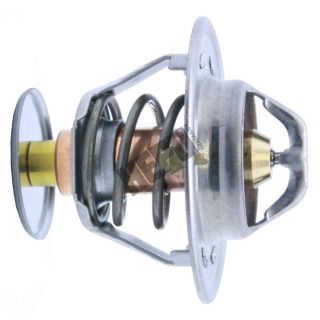 Termostatas, aušinimo skystis HEPU TM1377