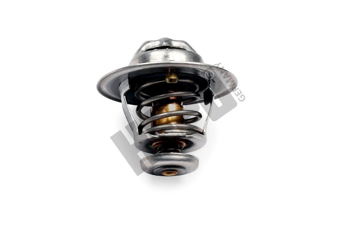 Termostatas, aušinimo skystis HEPU TM1386