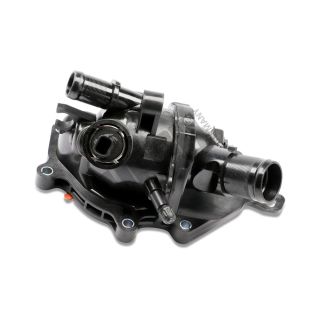 Termostatas, aušinimo skystis HEPU TM1407