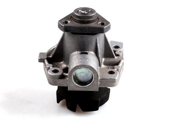 Vandens siurblys, variklio aušinimas HEPU P065