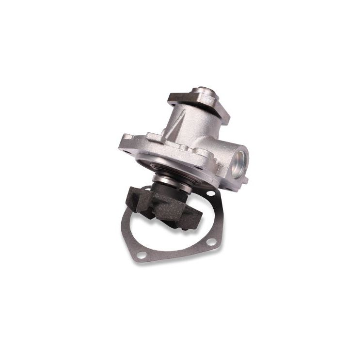 Vandens siurblys, variklio aušinimas HEPU P065S