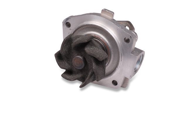 Vandens siurblys, variklio aušinimas HEPU P065S