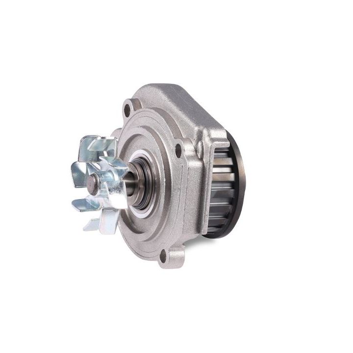 Vandens siurblys, variklio aušinimas HEPU P094