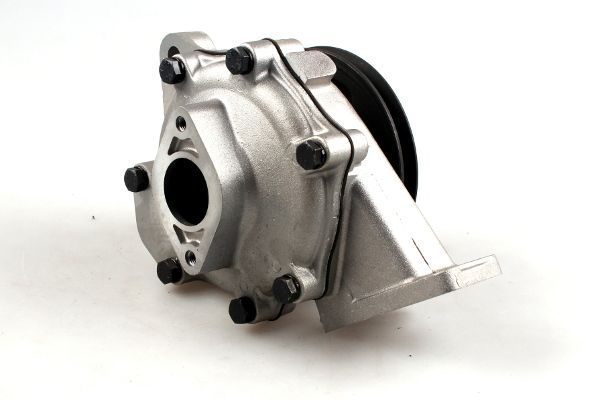 Vandens siurblys, variklio aušinimas HEPU P098