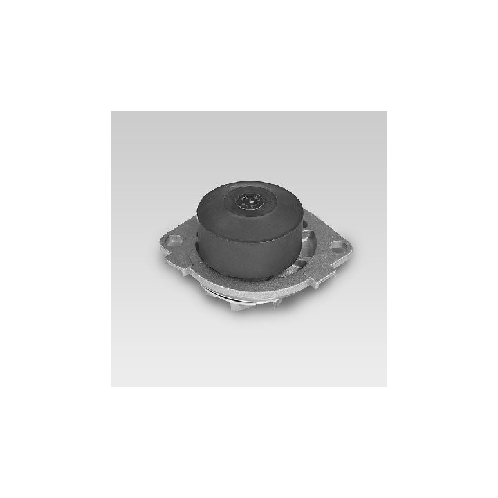 Vandens siurblys, variklio aušinimas HEPU P1041