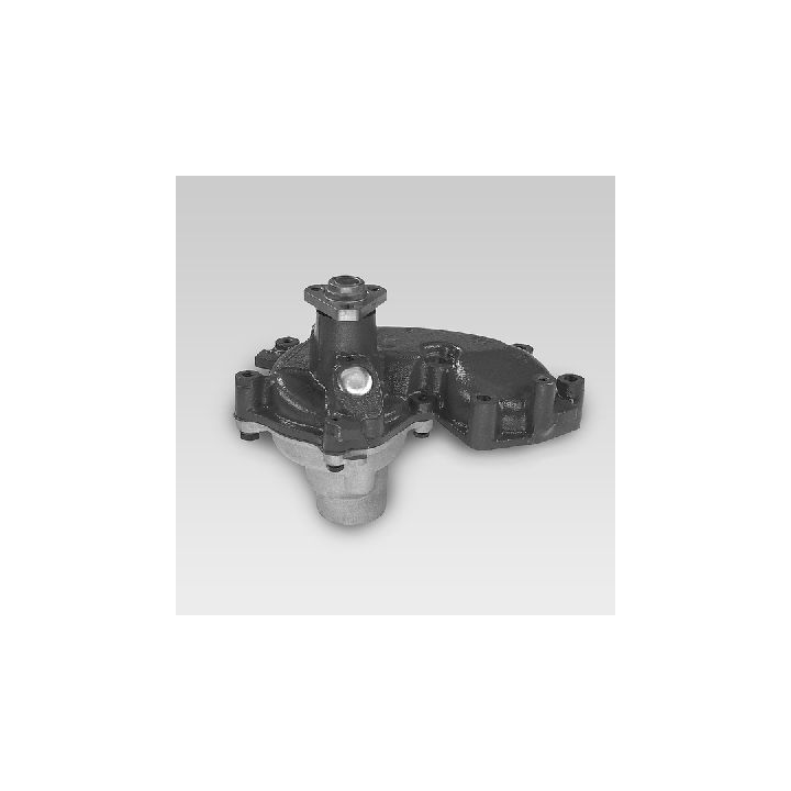 Vandens siurblys, variklio aušinimas HEPU P1051