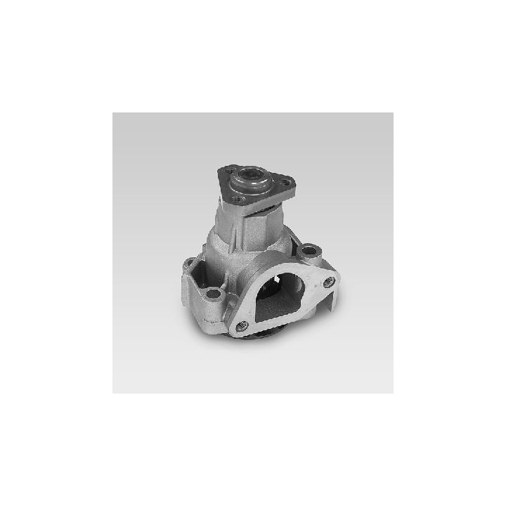 Vandens siurblys, variklio aušinimas HEPU P108