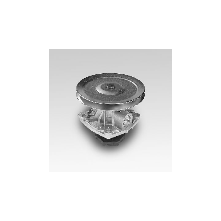 Vandens siurblys, variklio aušinimas HEPU P126