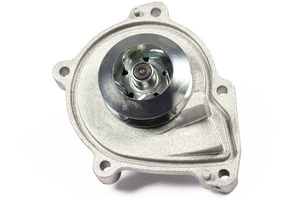 Vandens siurblys, variklio aušinimas HEPU P495