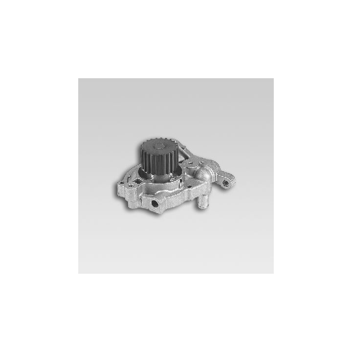 Vandens siurblys, variklio aušinimas HEPU P7124