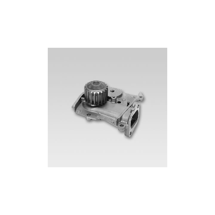 Vandens siurblys, variklio aušinimas HEPU P719