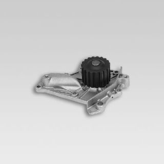 Vandens siurblys, variklio aušinimas HEPU P721