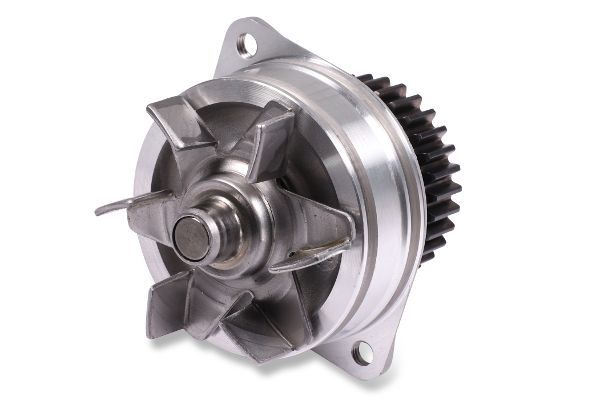 Vandens siurblys, variklio aušinimas HEPU P7389