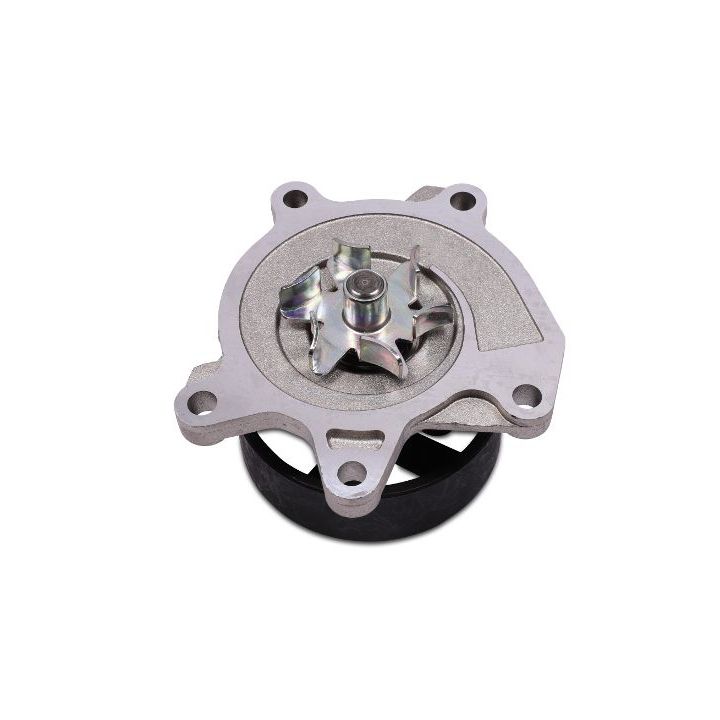 Vandens siurblys, variklio aušinimas HEPU P7398