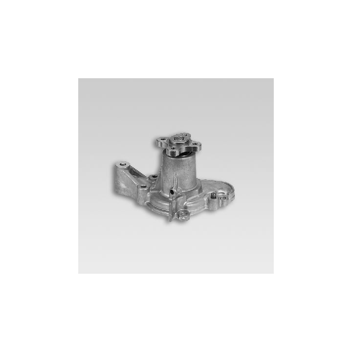 Vandens siurblys, variklio aušinimas HEPU P7761